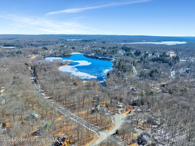 33 S Lehigh River Dr, Clifton Twp, PA 18424 - photo 2