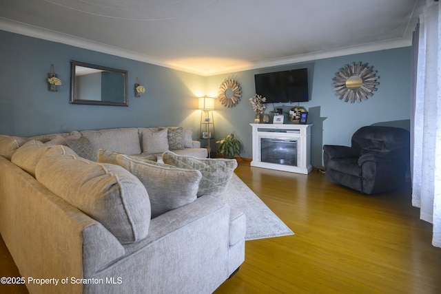 living area with a glass covered fireplace, wood finished floors, and ornamental molding