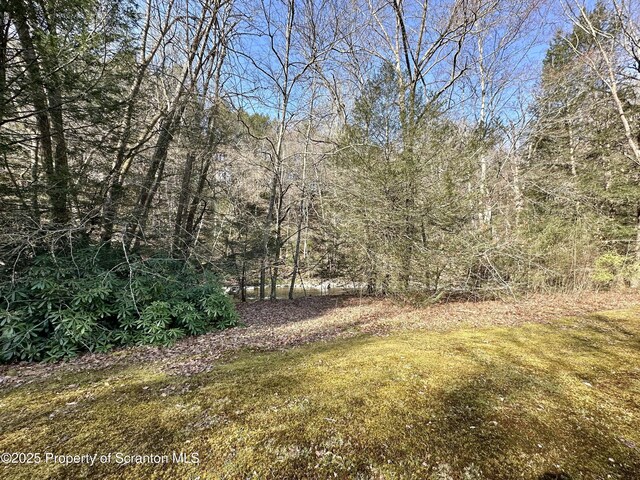 1991 Sr 6, Factoryville, PA 18419 - photo 15