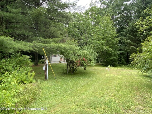 1991 Sr 6, Factoryville, PA 18419 - photo 5