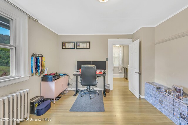 office with radiator, a wealth of natural light, crown molding, and light wood-type flooring