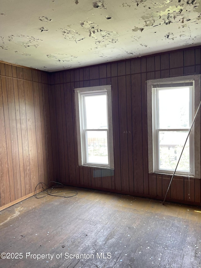 1111 Blair Ave Rear, Rear, Scranton, PA 18508 - unfurnished room featuring healthy amount of natural light