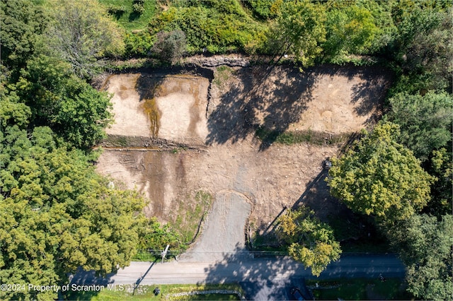 01 Loomis Rd, Montrose, PA 18801 - photo 2