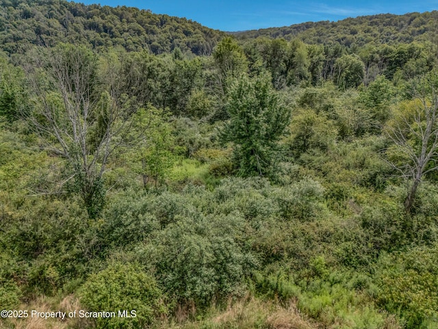 4678 Sr 438, Dalton, PA 18414 - photo 51