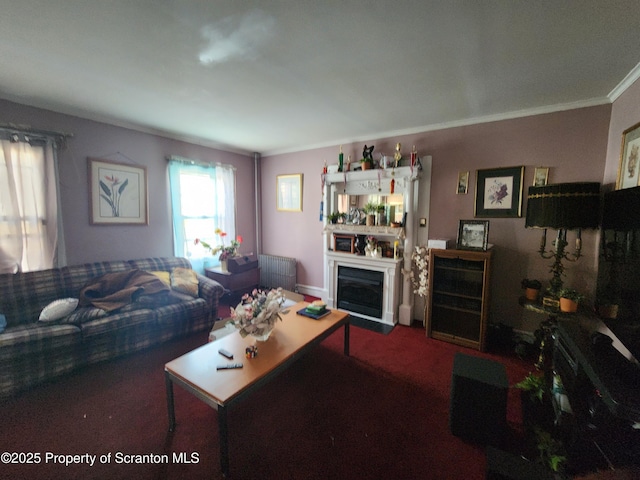 carpeted living area with crown molding, radiator, and a fireplace with flush hearth