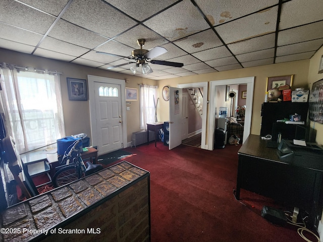 interior space with a drop ceiling, radiator, carpet flooring, and a ceiling fan