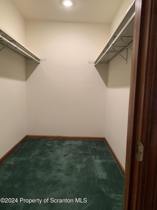 walk in closet with dark carpet