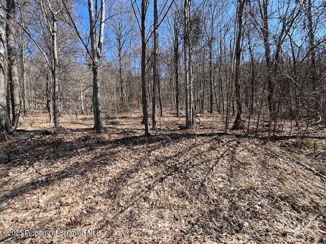 LOT37 Johnson Hill Rd, Carbondale PA, 18407 land for sale