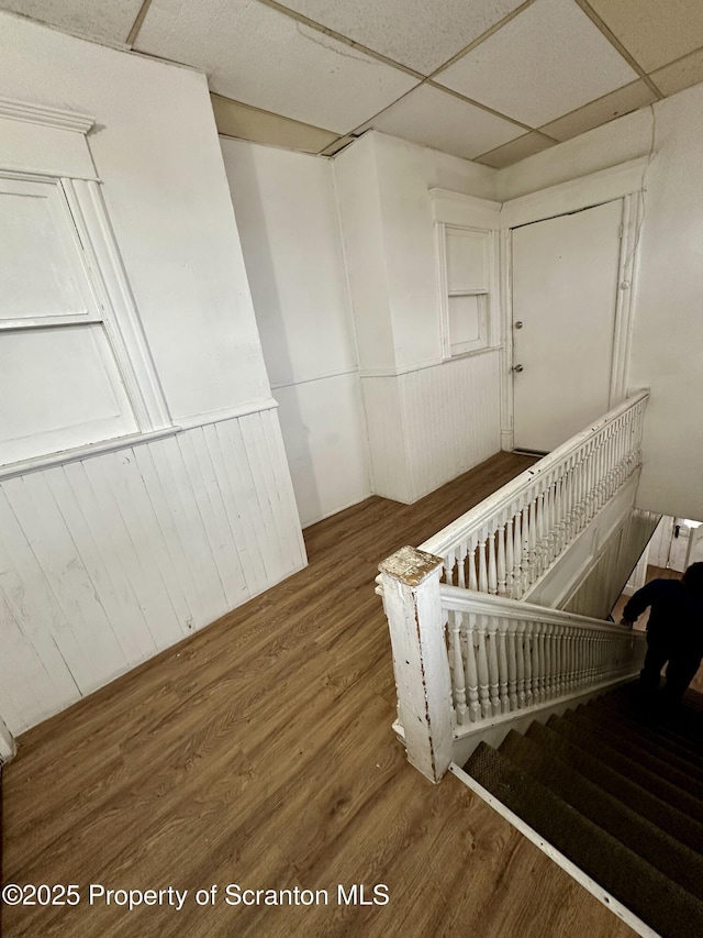 staircase featuring hardwood / wood-style flooring and a drop ceiling