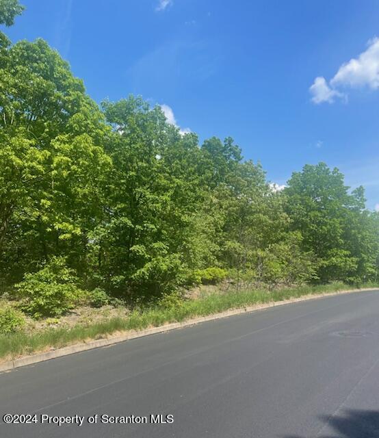 Saginaw St, Scranton PA, 18505 land for sale