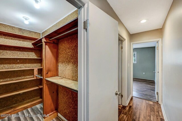 walk in closet with wood finished floors