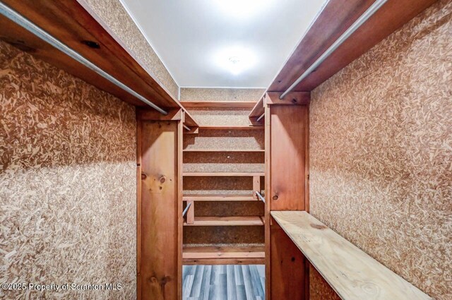 walk in closet featuring wood finished floors
