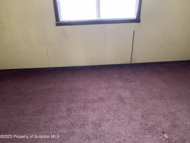 unfurnished room with carpet and a healthy amount of sunlight