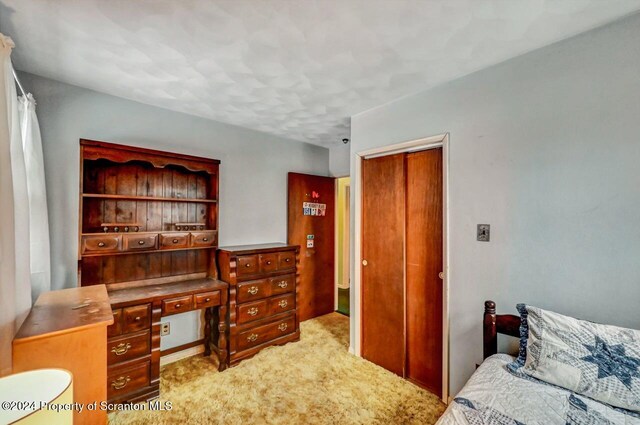 bedroom with light carpet and a closet