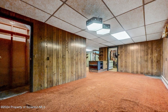 basement with wood walls and carpet floors