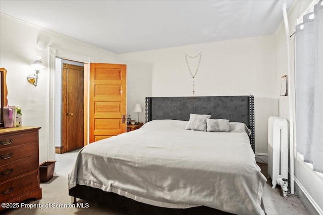 126 Crown Ave, Scranton, PA 18505 - bedroom featuring radiator heating unit and light colored carpet