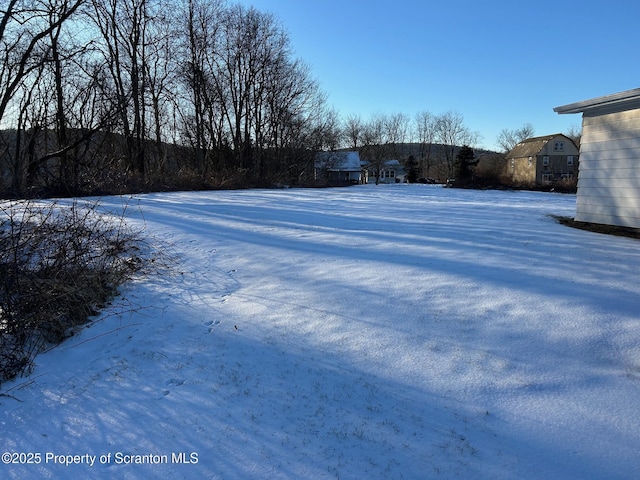 view of yard layered in snow