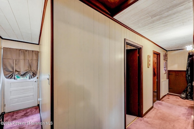 corridor with wooden walls, light colored carpet, and ornamental molding