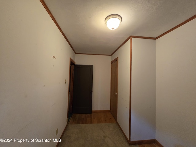 hallway with light carpet