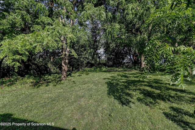 115 S Grant Ave, Scranton, PA 18504 - photo 26