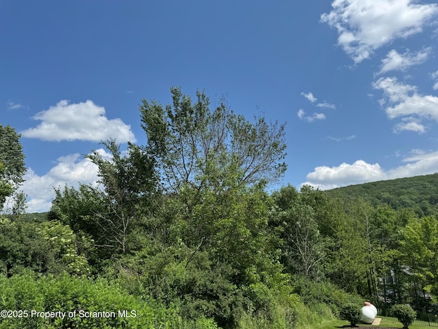 Laurel Dr, Scott Twp, PA 18411