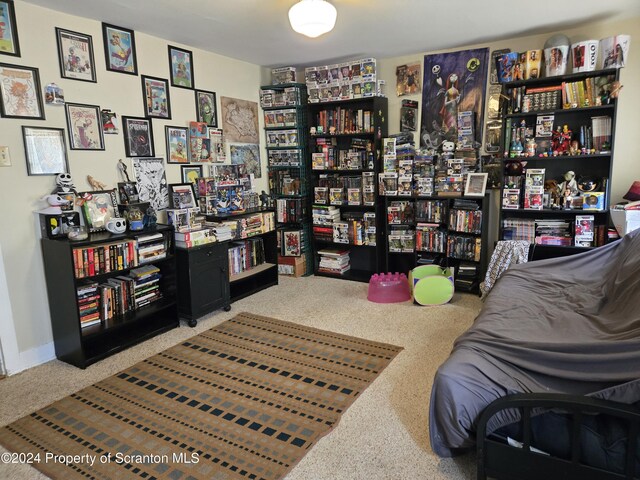 sitting room featuring carpet flooring