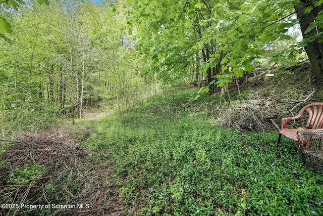 50 Harlem Ave, Carbondale, PA 18407 - view of local wilderness