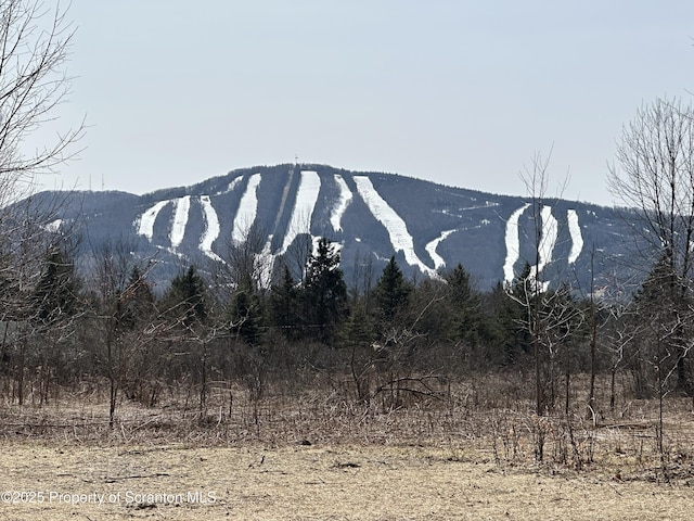 13692 State Route 374, Union Dale, PA 18470 - view of mountain feature