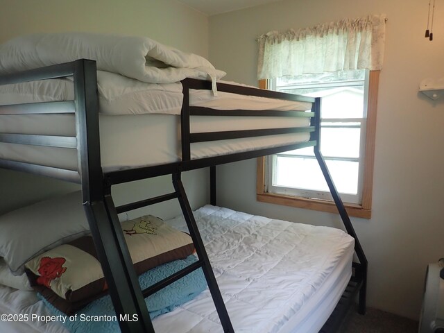 265 S Lk Rd, Montrose, PA 18801 - photo 32