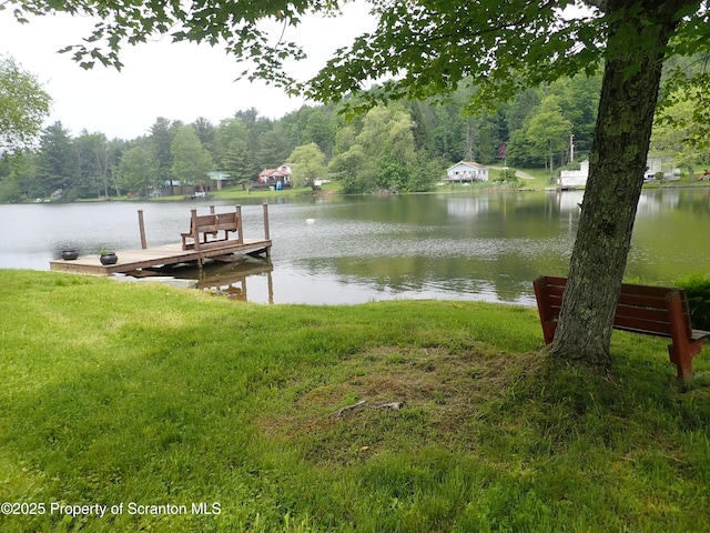 265 S Lk Rd, Montrose, PA 18801 - photo 11