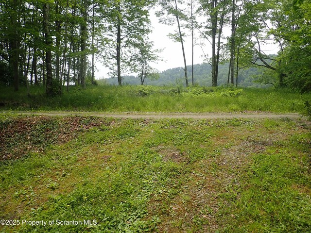 265 S Lk Rd, Montrose, PA 18801 - photo 16