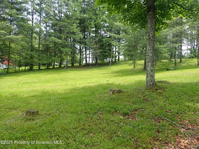 265 S Lk Rd, Montrose, PA 18801 - photo 10