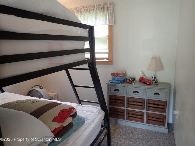 265 S Lk Rd, Montrose, PA 18801 - photo 31