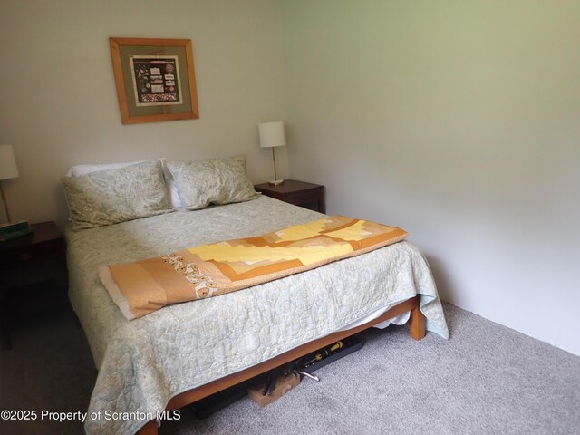 265 S Lk Rd, Montrose, PA 18801 - photo 30