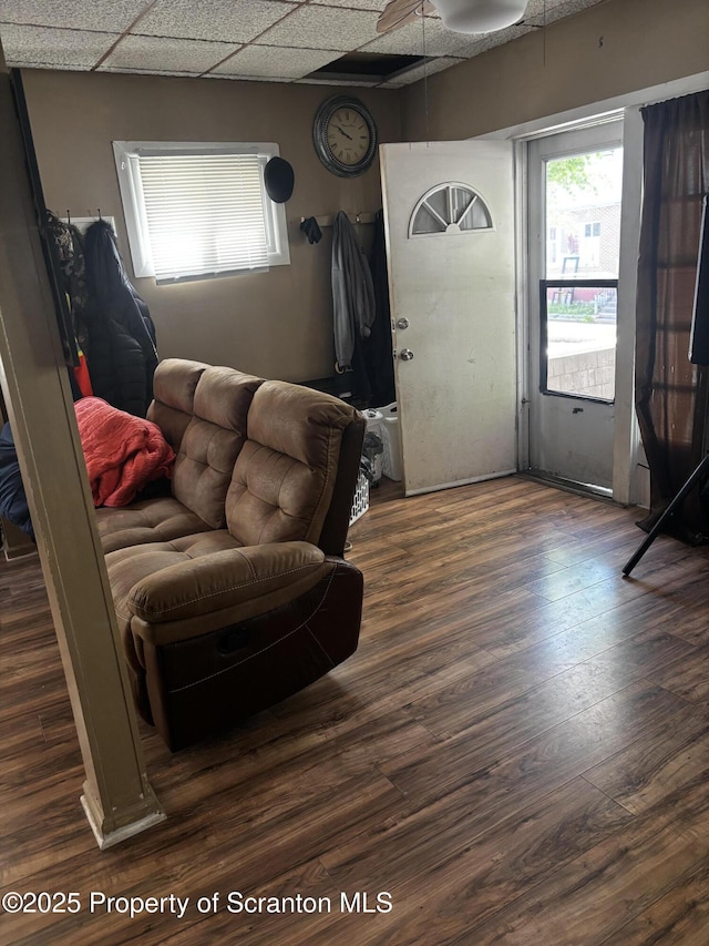 living room featuring wood finished floors, a drop ceiling, and ceiling fan