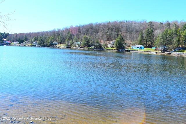213 N Shore Dr, Brackney, PA 18812 - photo 9
