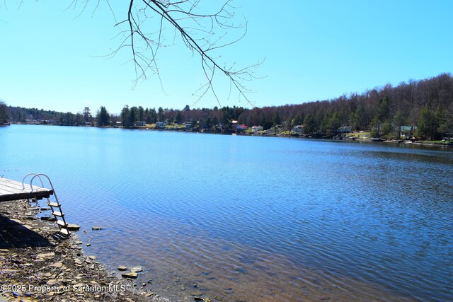 213 N Shore Dr, Brackney, PA 18812 - photo 10