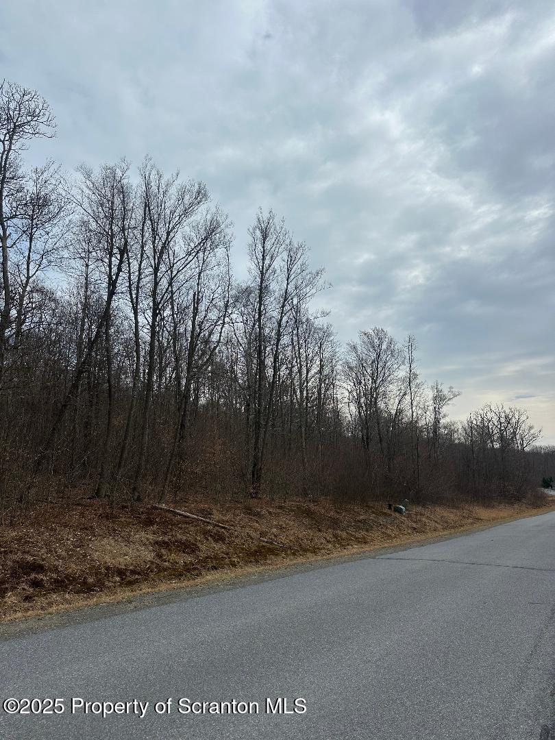 Summit Woods Rd, Roaring Brook Twp, PA 18444
