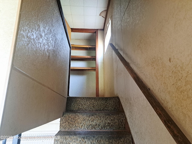 1216 Beech St, Scranton, PA 18505 - photo 8