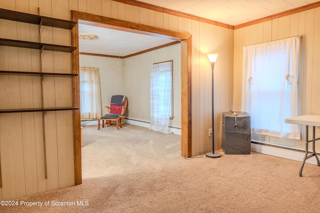 interior space featuring carpet flooring, plenty of natural light, and crown molding