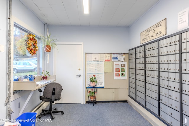 view of carpeted office space