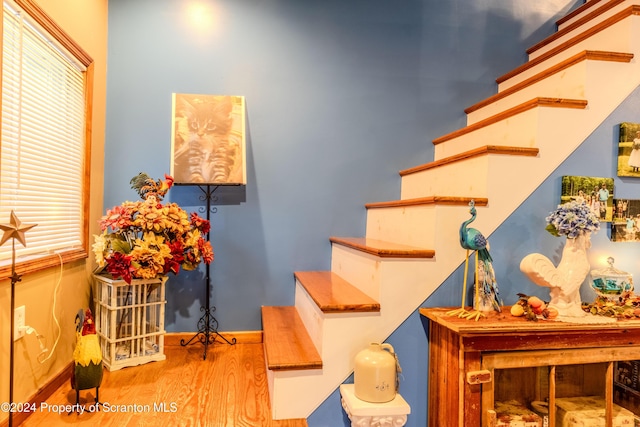 staircase with hardwood / wood-style flooring