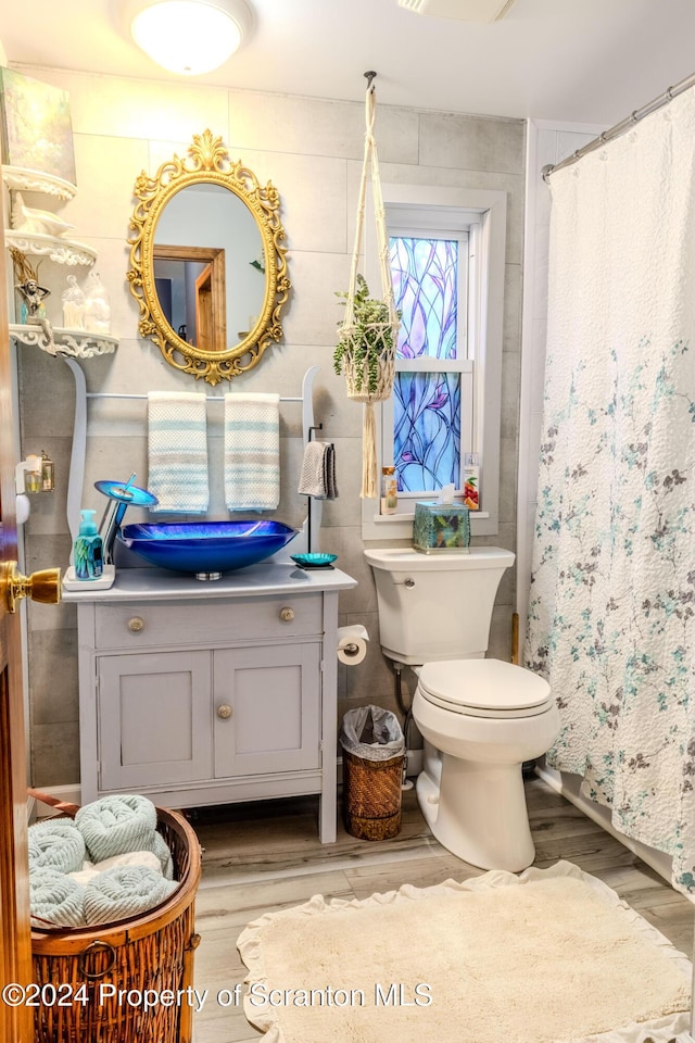 bathroom with vanity, wood-type flooring, and toilet