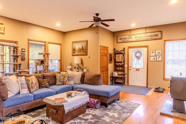 living room featuring ceiling fan and light wood-type flooring