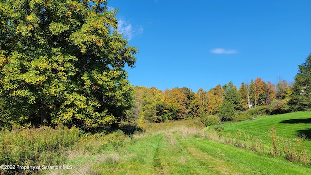 65 Clinton Dr, Factoryville, PA 18419 - photo 11