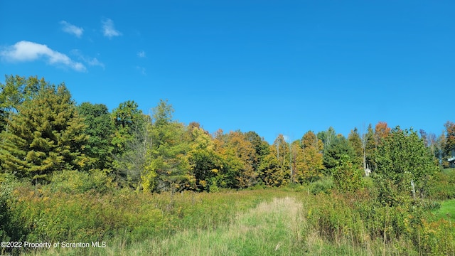 65 Clinton Dr, Factoryville, PA 18419 - photo 3