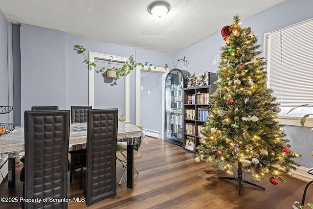 dining room with hardwood / wood-style flooring and a baseboard radiator