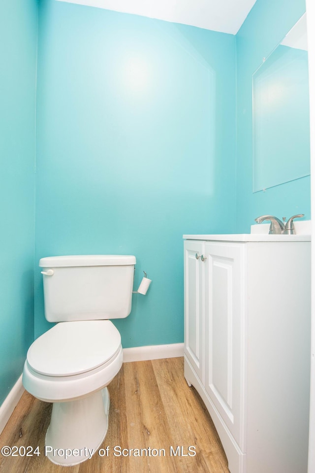 bathroom featuring vanity, toilet, and wood-type flooring