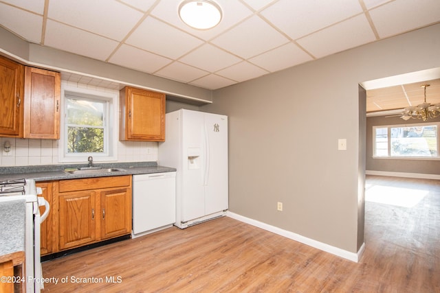 kitchen with tasteful backsplash, a drop ceiling, white appliances, sink, and light hardwood / wood-style floors