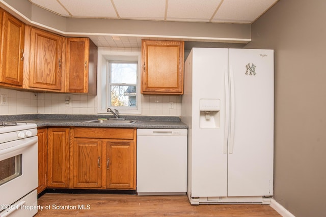 kitchen with sink, a drop ceiling, tasteful backsplash, light hardwood / wood-style flooring, and white appliances